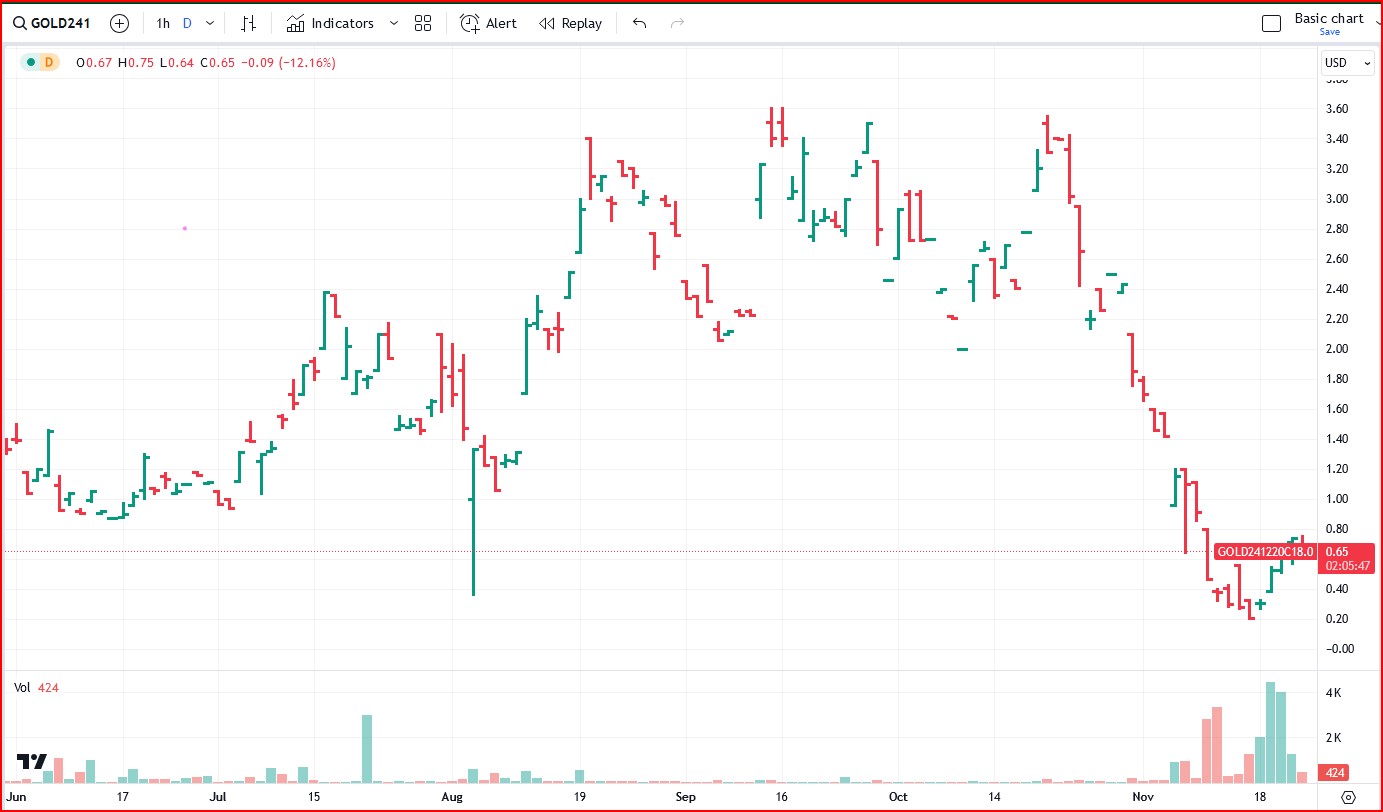 Barrick Gold Dec 2024 call option pricing from Trading View