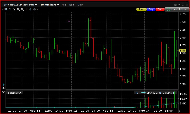 SPY putl option Nov 25, 2024 on Nov 24 30-miniute bars